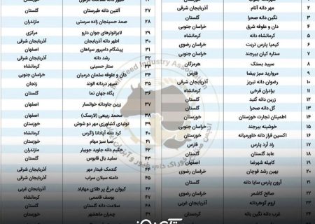 درخشش کارخانه خوراک آماده دام و طیور سپید بستک در سطح ملی / تنها واحد تولیدی از هرمزگان در بین ۵۰ کارخانه برتر کشور