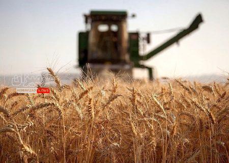 بحران آب در ایران و ضرورت اصلاح الگوی کشت؛ گندم ۲۰ برابر هندوانه آب مصرف می کند