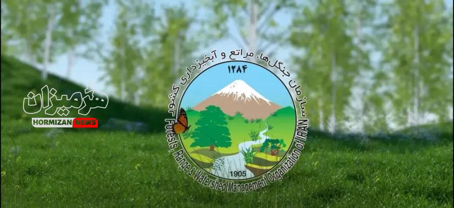 مصوبه‌ای که قلب منابع طبیعی را نشانه رفت/خواستار تشکیل وزارت منابع طبیعی هستیم