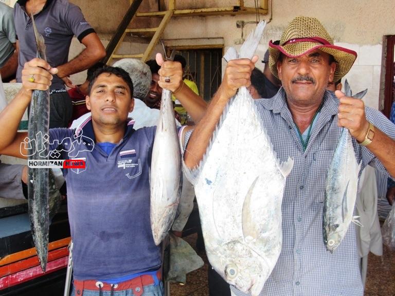 «بازار ماهی پاچال» میناب؛ حلقه حیاتی در زنجیره تامین محصولات دریایی کشور