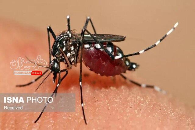 شناسایی بیش از ۴۰۰ مورد مشکوک به ابتلا به تب دنگی در هرمزگان