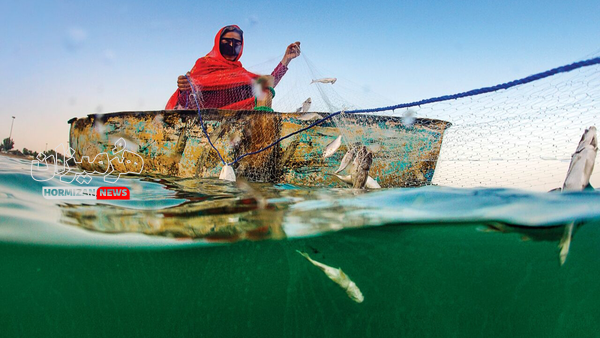 تمام بانوان صیاد جزیره هنگام، مجوز صید میگیرند