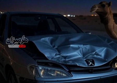 برخورد مرگبار پژو پارس با شتر سرگردان در جاده فرودگاه قشم