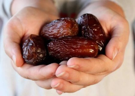 گزارش مهر از برداشت «مجول» مرغوب‌ترین خرمای جهان در رودان