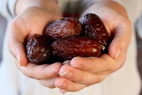 گزارش مهر از برداشت «مجول» مرغوب‌ترین خرمای جهان در رودان