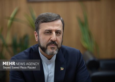 غریب‌آبادی: پرونده مدرسه شجره طیبه در عرصه بین‌المللی پیگیری می‌شود