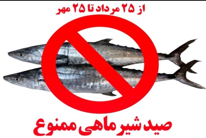 ممنوعیت صید ماهی شیر به روش گوشگیر در آب‌های هرمزگان