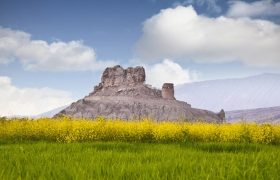 ویدیو/ سفری کوتاه به فین بندرعباس