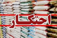 انبار احتکار کالای اساسی در بندرعباس لو رفت