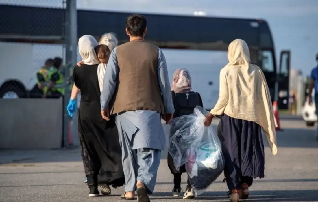 بازداشت ۲۰۰ مهاجر غیرمجاز در قشم