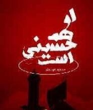 کتاب «او هم حسینی است»: اثري مهم در تقویت وحدت اسلامی بين مذاهب