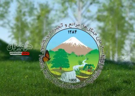 مصوبه‌ای که قلب منابع طبیعی را نشانه رفت/خواستار تشکیل وزارت منابع طبیعی هستیم