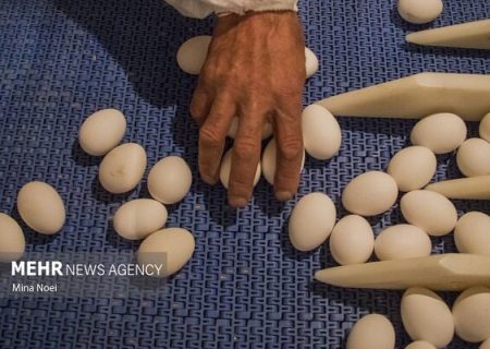 نخستین واحد پرورش مرغ تخم‌گذار هرمزگان در شهرستان بستک افتتاح شد