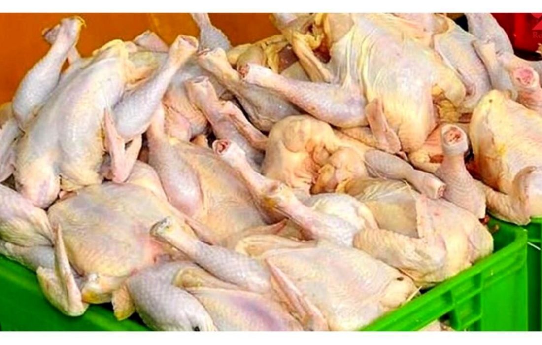 کشف محموله مرغ‌های تاریخ‌گذشته در بندرعباس