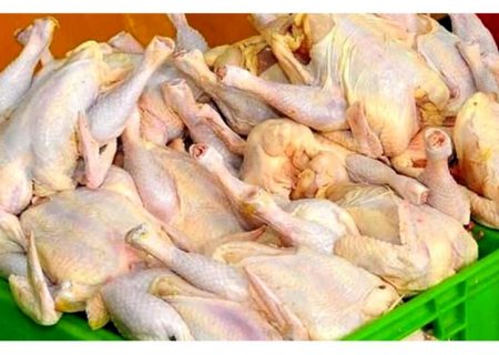 کشف محموله مرغ‌های تاریخ‌گذشته در بندرعباس