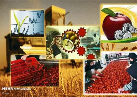 تداوم چرخه تولید در ۲۵۵ واحد صنایع تبدیلی کشاورزی هرمزگان