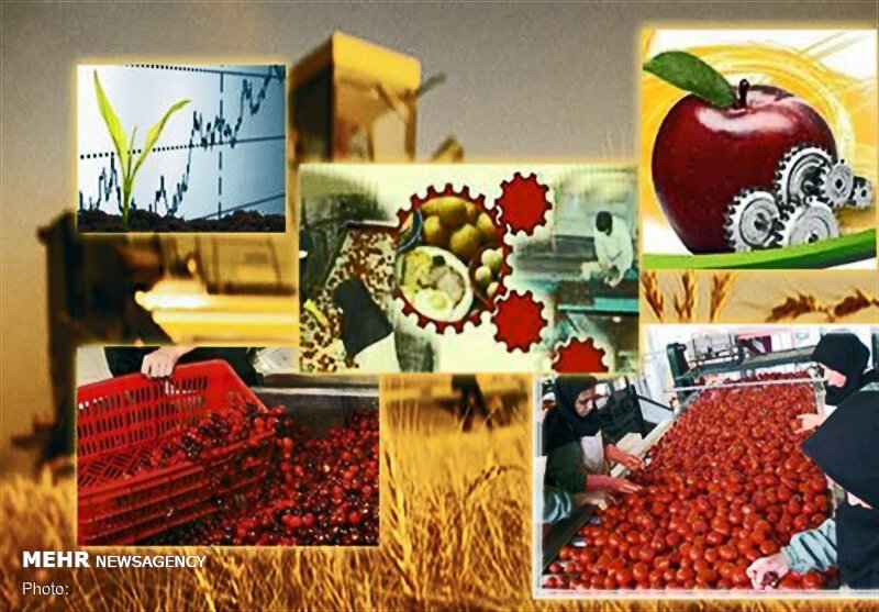 تداوم چرخه تولید در ۲۵۵ واحد صنایع تبدیلی کشاورزی هرمزگان