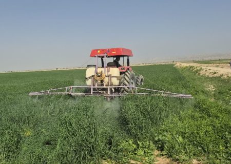 آغاز برداشت محصول استراتژیک گندم از مزارع شهرستان رودان