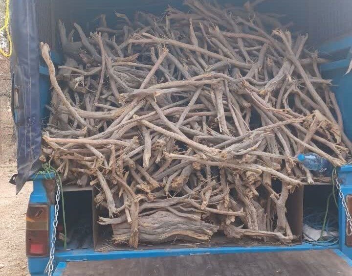 کشف و توقیف دو تن چوب جنگلی غیرمجاز در شهرستان رودان