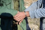 متخلف شکار دو رأس گراز وحشی در حاجی‌آباد دستگیر شد