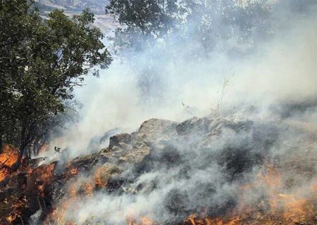 آتش‌سوزی در مراتع روستای دهنو بندرعباس تحت کنترل است