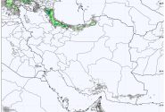 وضعیت جوی کشور در ۷۲ ساعت آینده؛ هشدار بارش‌های رگباری در ۲ استان