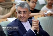 شهردار بندرعباس: حمایت از خبرنگاران نباید به یک روز محدود شود