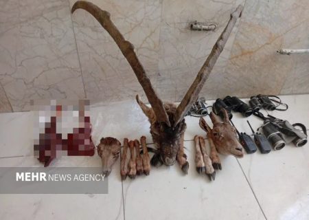 دستگیری ۶ شکارچی متخلف و کشف یک رأس کل وحشی در بستک