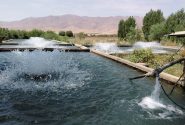 افتتاح ۱۴ هزار میلیارد تومان پروژه شیلاتی در هفته دولت