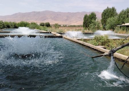 افتتاح ۱۴ هزار میلیارد تومان پروژه شیلاتی در هفته دولت