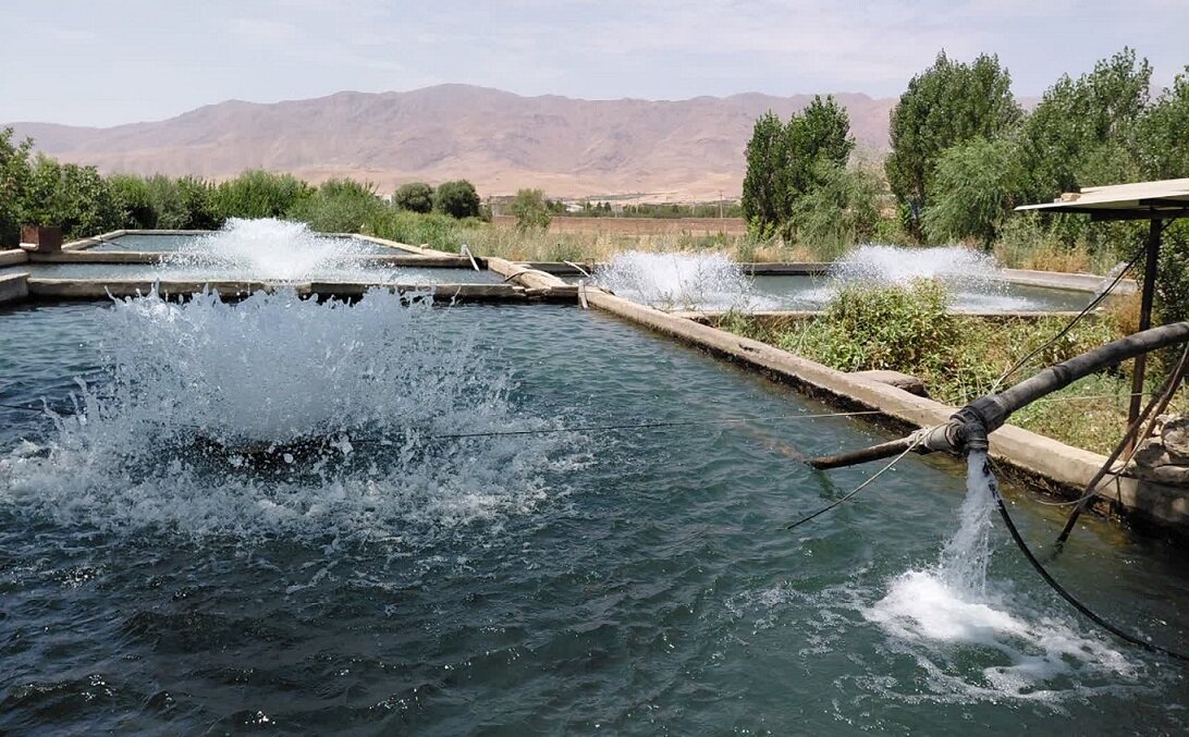 افتتاح ۱۴ هزار میلیارد تومان پروژه شیلاتی در هفته دولت