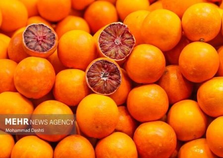 تولید سالانه ۹۴۰ هزار تن محصولات باغی در هرمزگان
