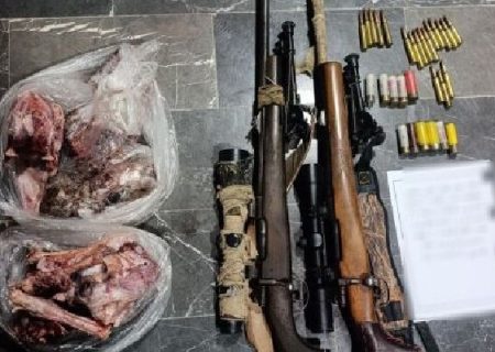 شکار غیرمجاز دو قوچ و میش وحشی در میناب متوقف شد