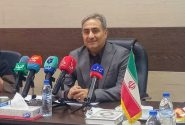 معاون غذا و داروی هرمزگان: تأمین دارو و شیرخشک در استان پایدار است