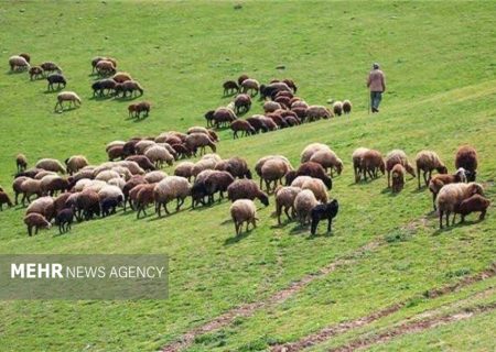 رشد ۱۸ برابری احاله مدیریت طرح‌های مرتعداری در هرمزگان