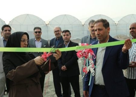 بهره‌برداری از گلخانه پژوهشی ۹ هزار مترمربعی دانشگاه آزاد رودان